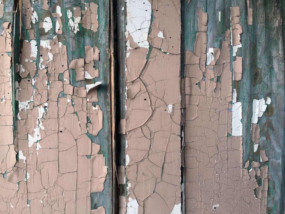 Dangers of Lead and Mold | Inspection & Remediation Services for Lead & Mold