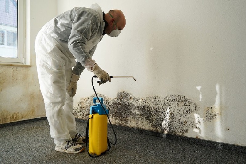 Mold Assessment & Remediation | Mold Inspections | Aegean Environmental Services